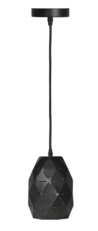 Activejet Lámpara colgante EVA 1xE27 negro