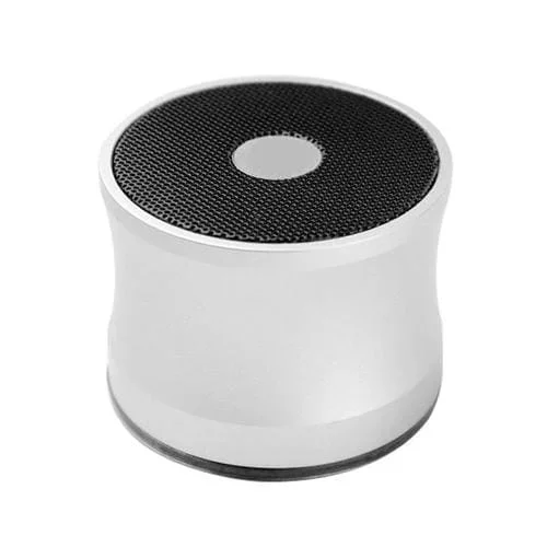 Altavoz portátil Ewa A109 Bluetooth V2.0 llamada manos libres (Plateado)