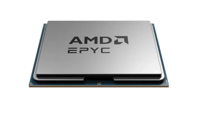 AMD EPYC 9015 procesador 3,6 GHz 64 MB L3