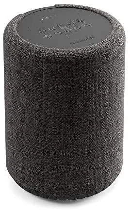 Audio Pro G10 Altavoz portátil estéreo Gris 62 W