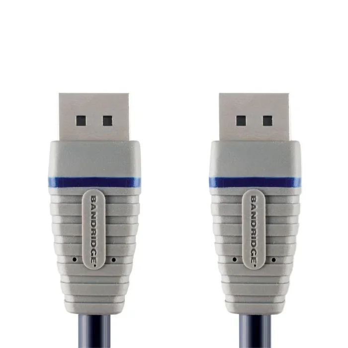 Bandridge Cable DisplayPort macho – macho de 2 metros, color azul, resolución máxima 1080P, exterior de PVC