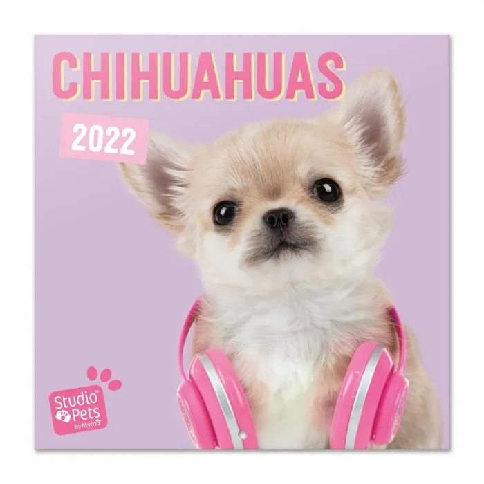 Calendario 2022 30×30 studio pets chihuahuas
