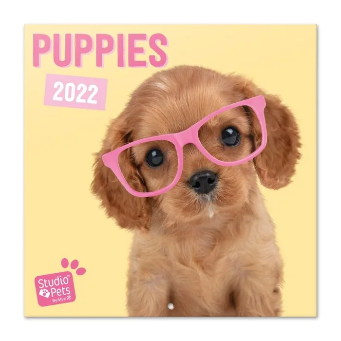 Calendario 2022 30×30 studio pets puppies