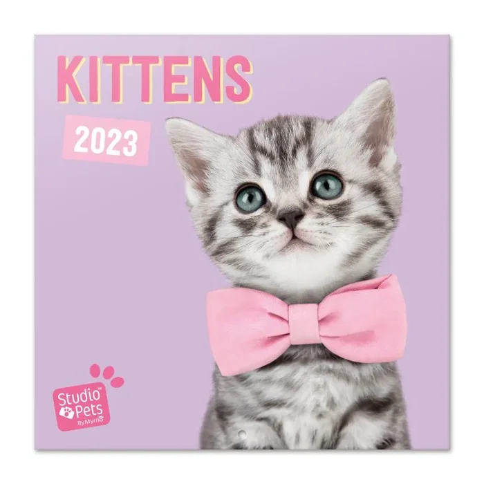 Calendario 2023 30×30 studio pets kittens