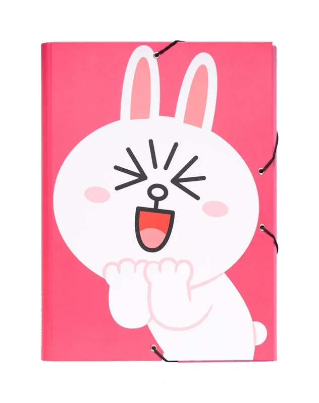 Carpeta solapas line friends