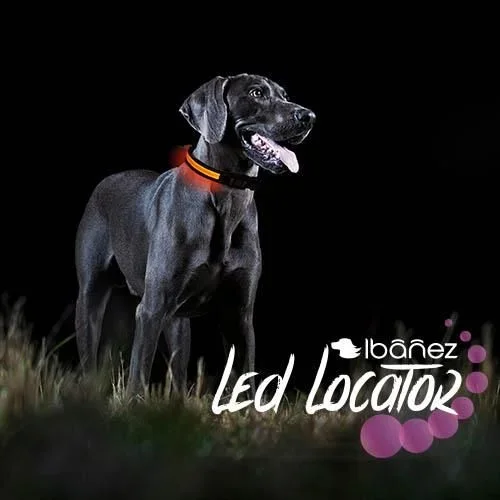 Collar IBÁÑEZ Led Locator LED LOCATOR – ROSA TALLA L