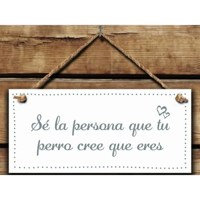 Decoración colgante magnet & steel sé la persona que tu perro cree que eres 13 x 13 x 0,8 cm
