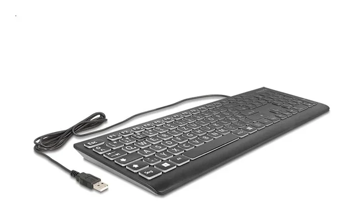 DeLOCK 12170 teclado Universal USB QWERTZ Alemán Negro