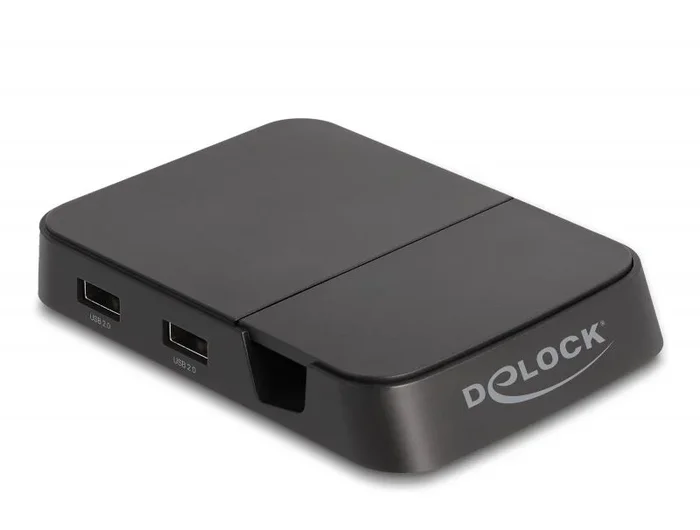 DeLOCK 88018 estación dock para móvil Smartphone Negro