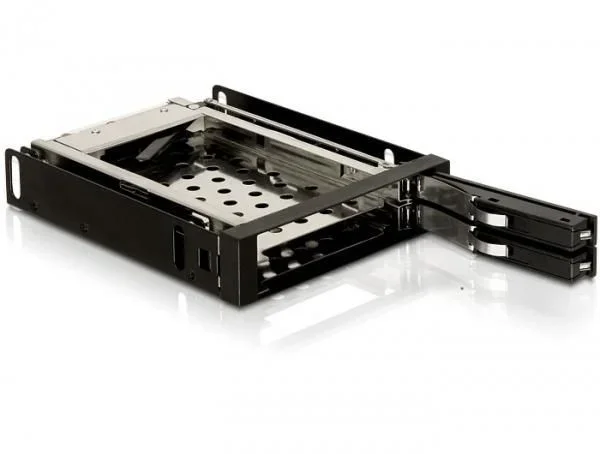 Delock Marco Intercambiable de 3,5 Pulgadas para 2 Discos Duros SATA de 2,5 Pulgadas.