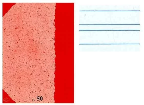 Ede libreta 4to 16h c50 pauta 3mm