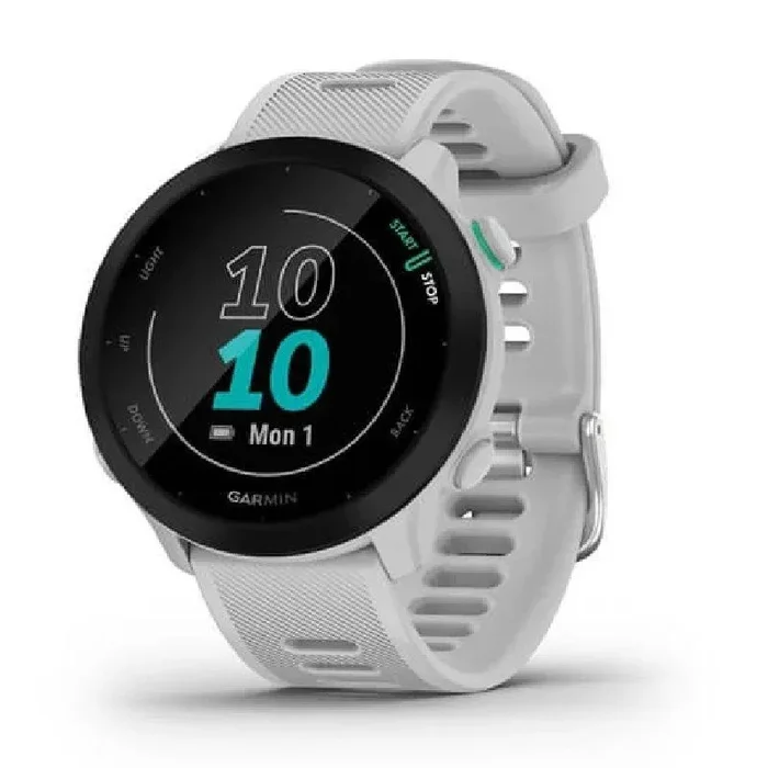 GARMIN Enduro Gris