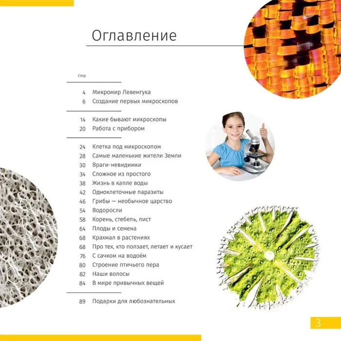 Invisible World (el mundo invisible). El libro educativo. Tapa dura