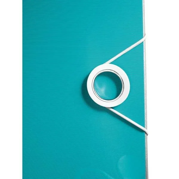 Leitz 11070051 carpeta de cartón A4 Azul