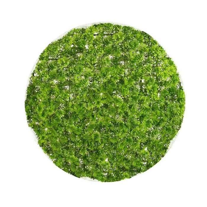 LOLAhome Bola boj Grande Verde de plástico de Ø 30 cm