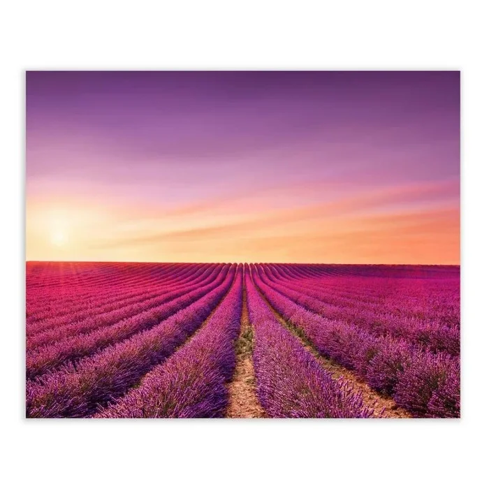 LOLAhome Cuadro Lavanda fotoimpreso sobre Lienzo Malva de 100×80 cm