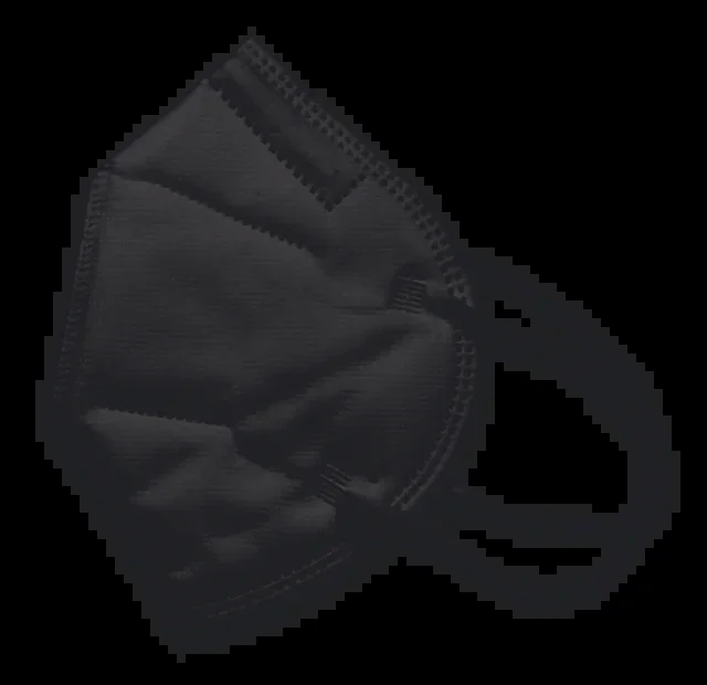 Mascarilla Ffp2 Negra