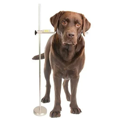 Medidor profesional de perros y gatos, diseñado para jueces de exposiciones y criadores, de aluminio anodizado