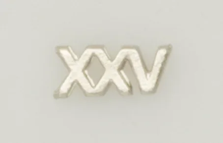 Numeral Pasador Albainox, 25 Años Policia Nacional , De Metal, Tamaño De 1 X 0,5 Cms, 09446