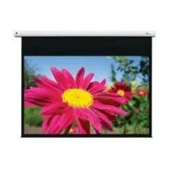 Optoma DE-1123EGA pantalla de proyección 3,12 m (123″) 16:10