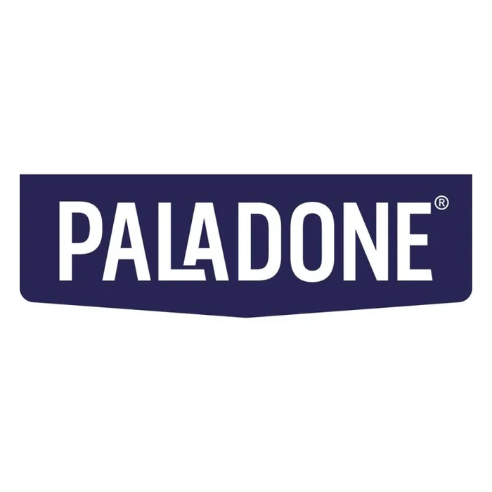 Paladone PP11592NN bandeja de escritorio/organizador Multicolor