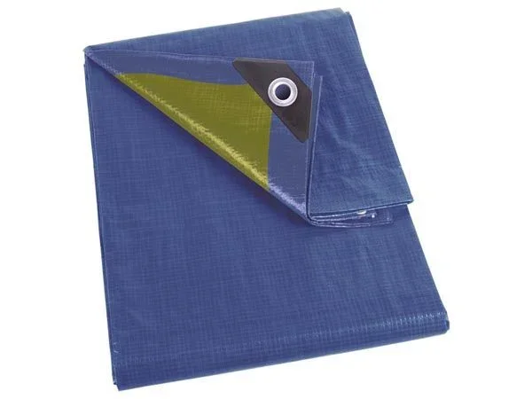 Perel Impuesto, Resistente, 8 Ojales, ángulos Reforzados, Cuadrado, Azul/Verde, 110 g/m², 2 x 2 m