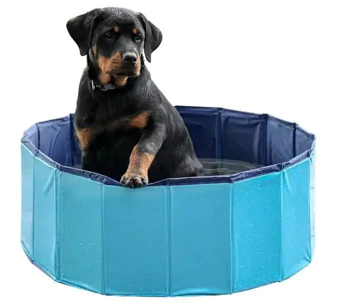 Petitto piscina plegable para perros – 160x30cm