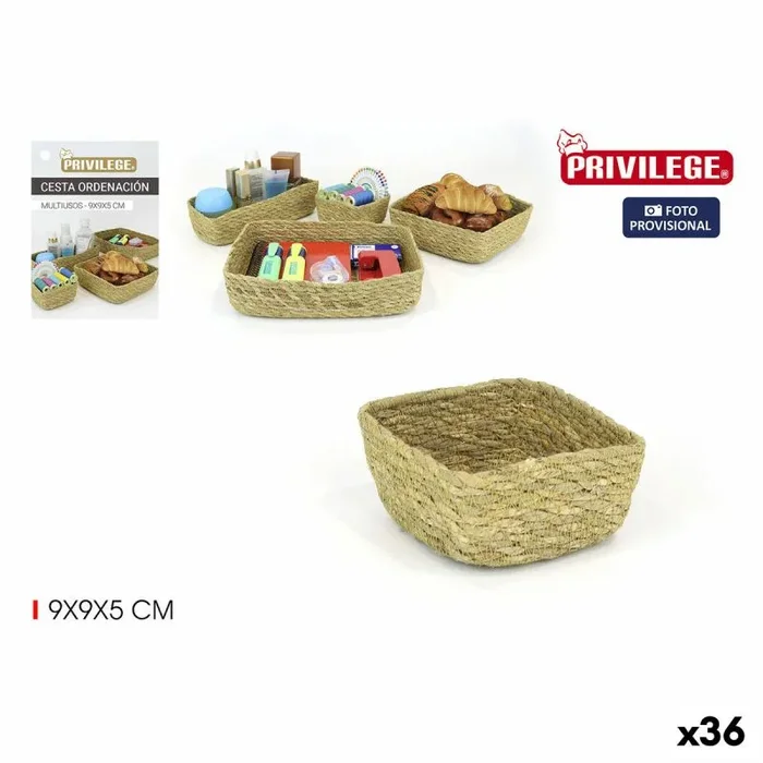 Privilege Organizador 9 x 9 x 5 cm – Marca EAN: 4899888716761