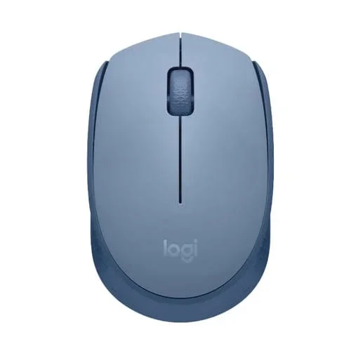 Ratón Inalámbrico Logitech M172 1000Dpi 2.4Ghz (Azul)
