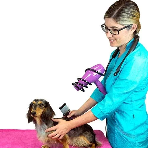 Soporte manos libres para secador de mano y manguera, perfecto para peluquerías caninas, muy cómodo