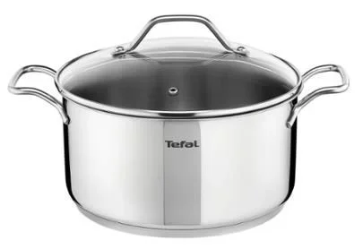 Tefal INTUITION Alrededor Acero inoxidable