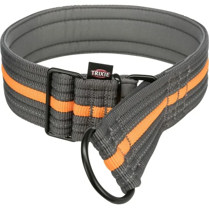 TRIXIE Fusion – Fusion Collar de Educación, Extra Ancho, L–XL, 48–58 cm/50 mm, Grafito/Azul océano