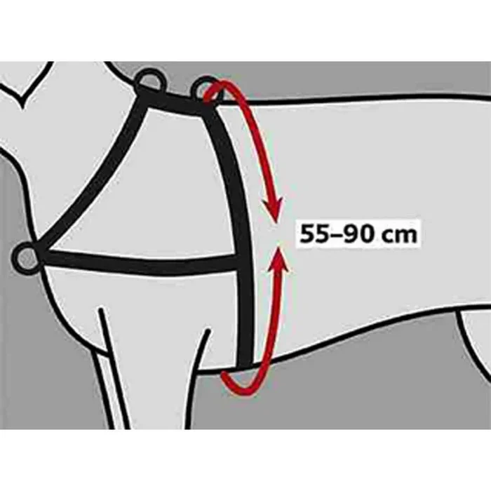 Trixie Lead’n’Walk Arnés de Entrenamiento Suave, M-L: 55-90 cm/25 mm, Negro