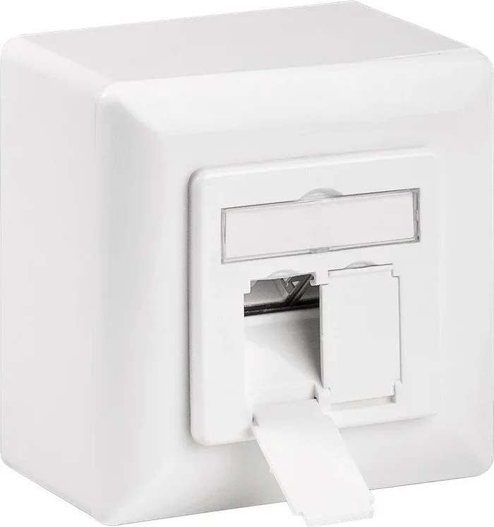 Wentronic 68244 – Caja universal CAT 6 con marco de montaje uncluido, 2 conexiones RJ45, blanco